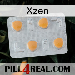 Xzen 24